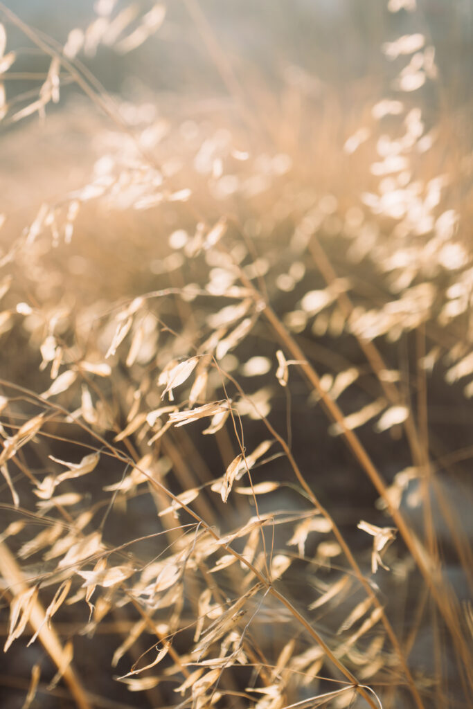 Best Crete wedding photographer